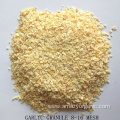 Organic granulated garlic dehydrated garlic granules